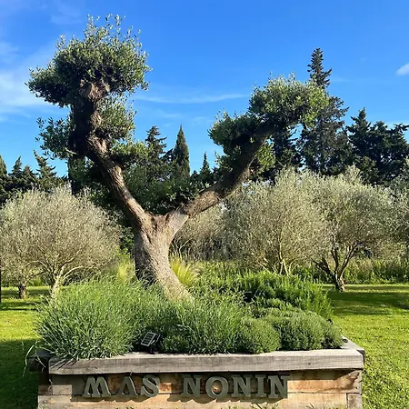 Mas De Nonin St Remy De Provence Noves