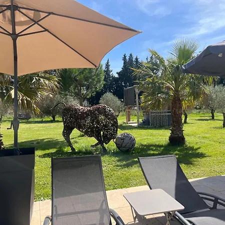 Guest house Mas De Nonin St Remy De Provence *
