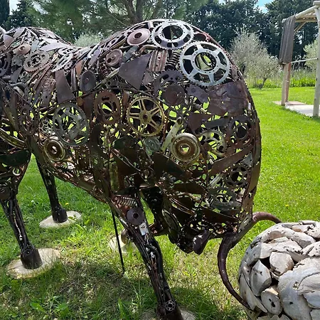 Mas De Nonin St Remy De Provence *