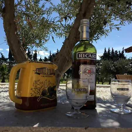 Mas De Nonin St Remy De Provence Guest house *