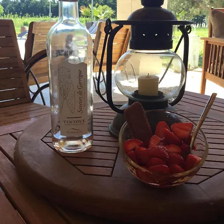 Mas De Nonin St Remy De Provence Guest house Noves